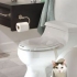 Automatski feline wc