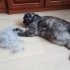 Furminator