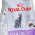 Royal canin hrane za sterilizirane mačke - pravila hranjenja kućnih ljubimaca s posebnim prehrambenim proizvodima